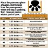 Dog Boots Breathable Dog Shoes for Small Medium Large Dogs; Waterproof Anti-Slip Puppy Booties Paw Protector for Hot Pavement Winter Snow Hiking with